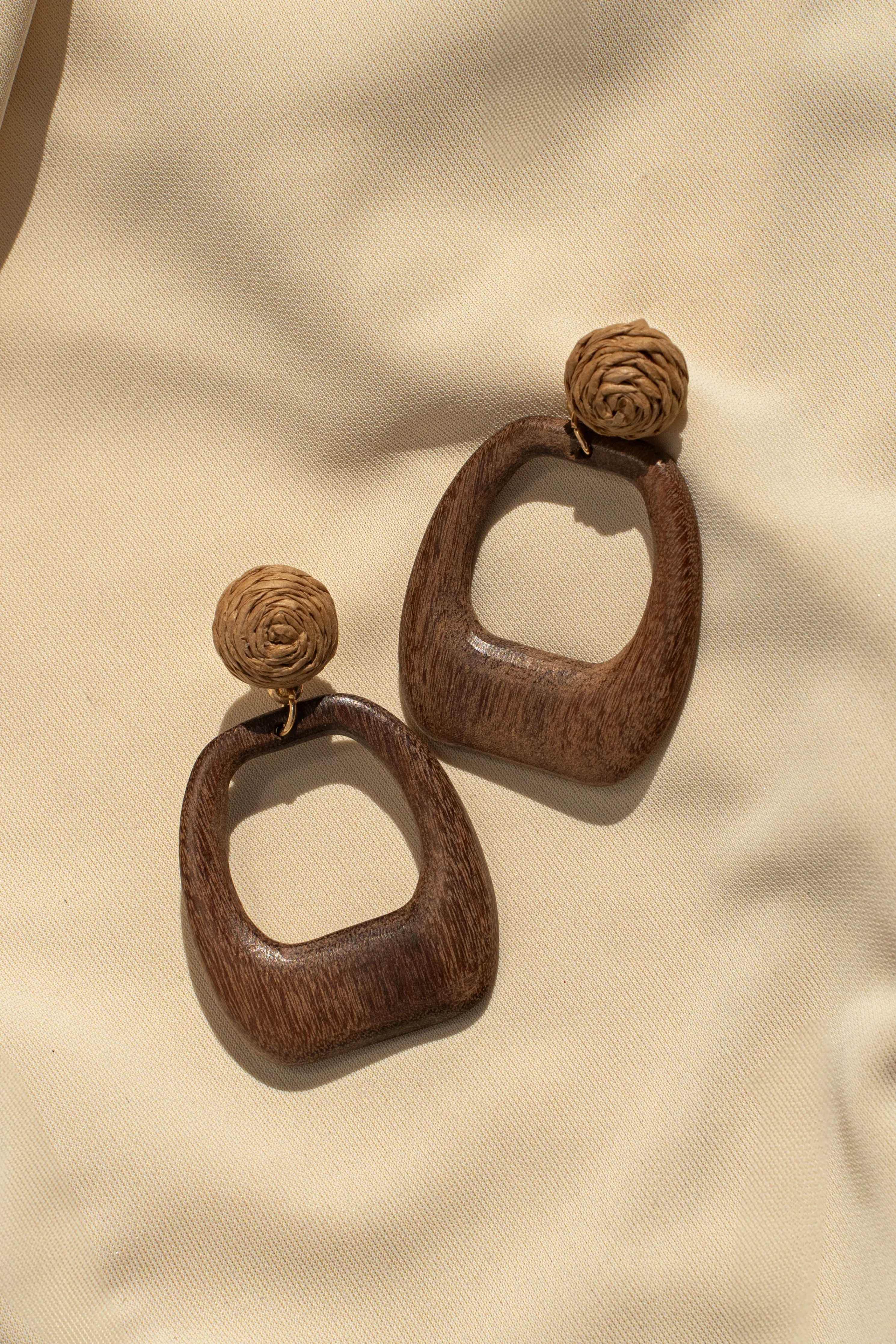 Brown Cove Wooden Earrings