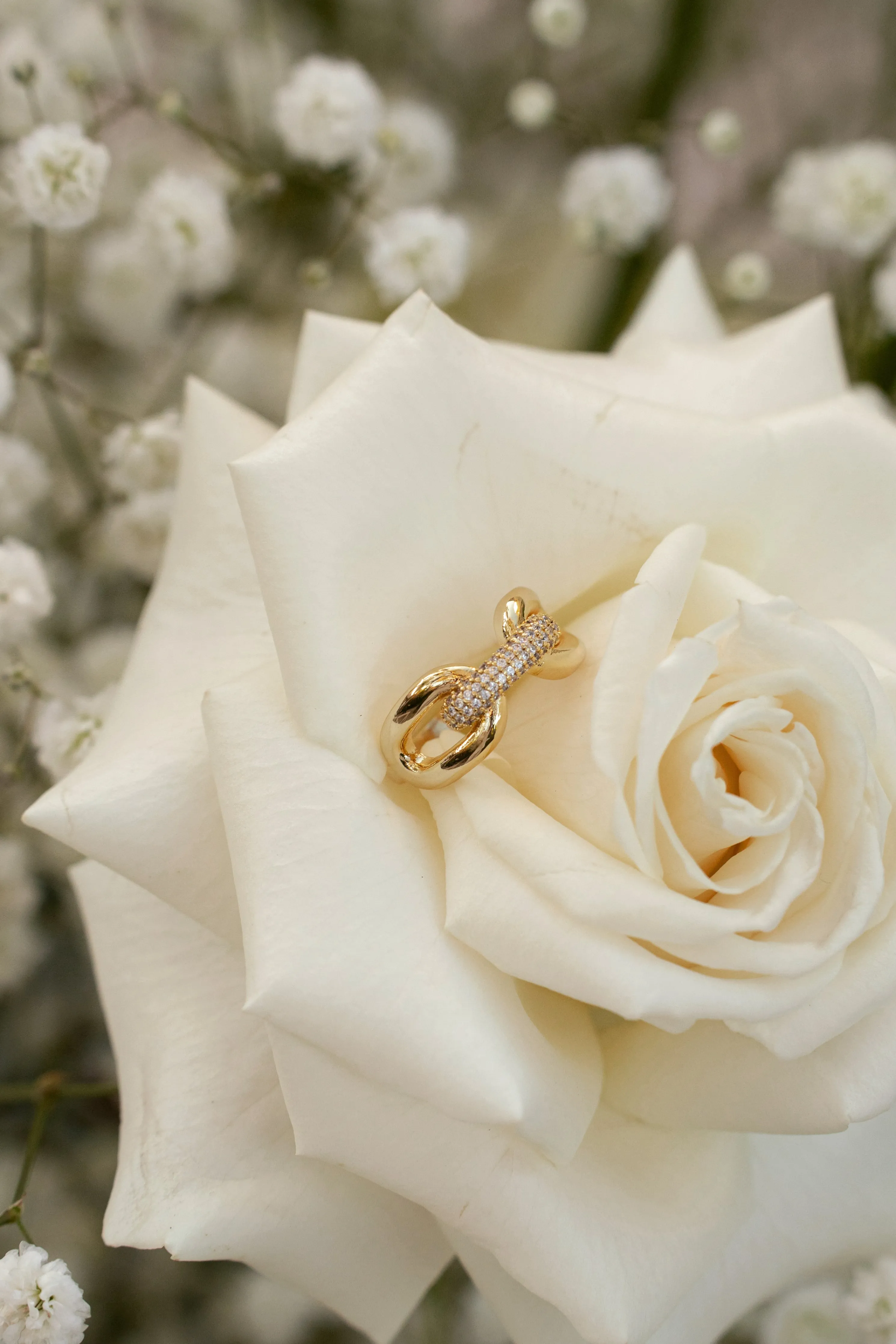 Gold Davi Paved Ring