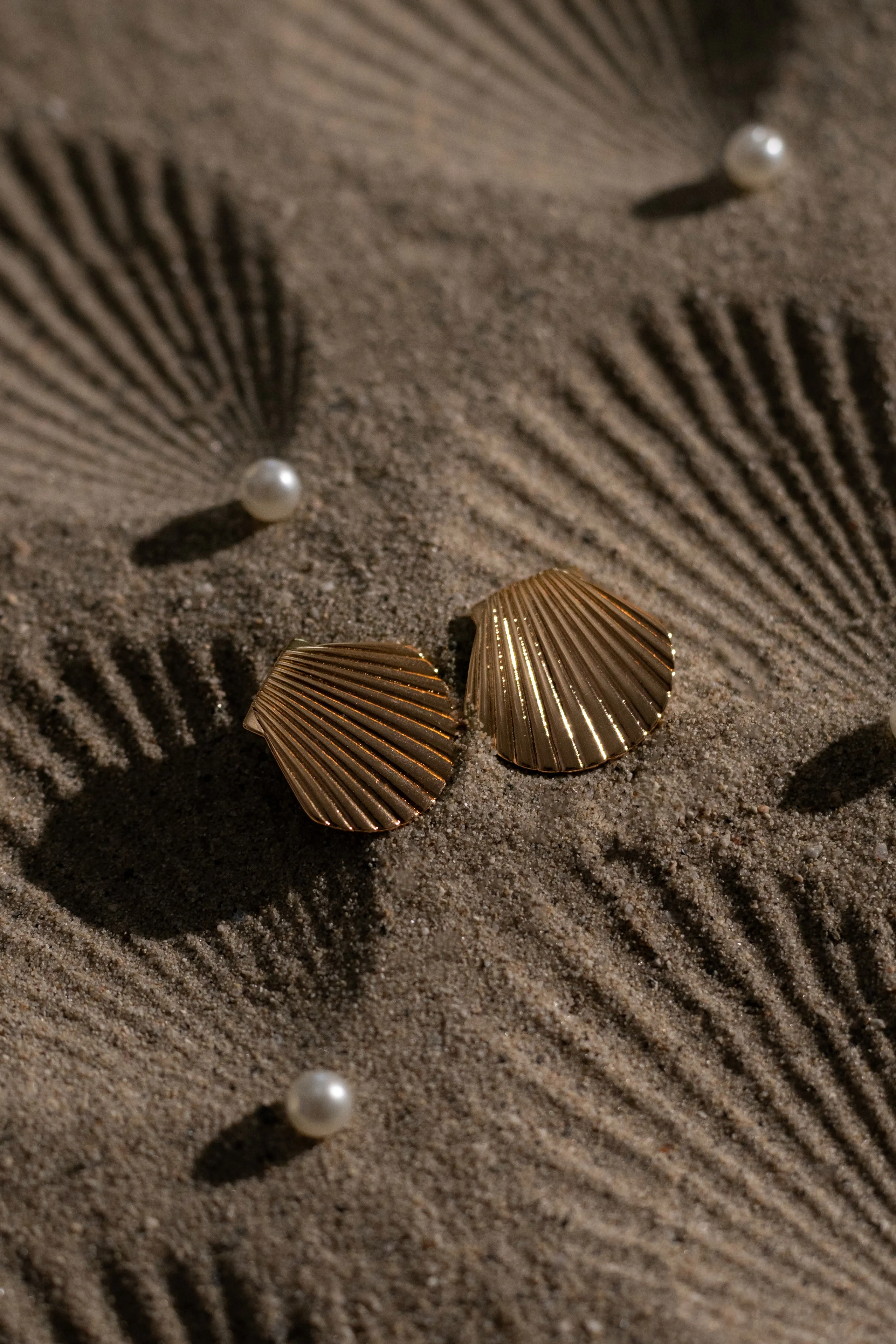 Gold Seashells Stud Earrings